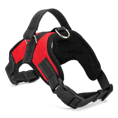 Adjustable Dog Harness Petritzy 